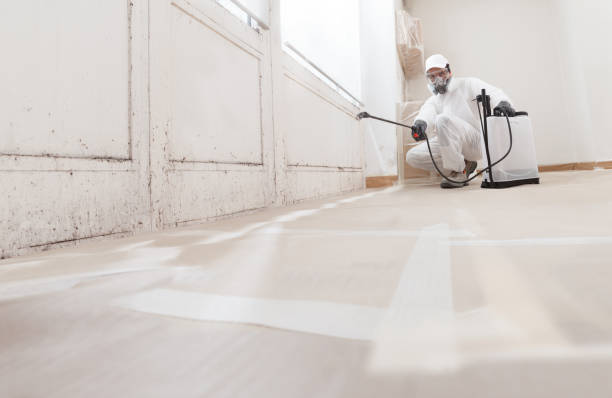 24/7 Emergency Mold Inspection experts in McBain, MI