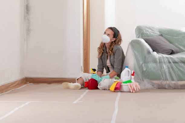Reliable Mold Cleanup contractor in McBain, MI by Cheap Mold Removal
